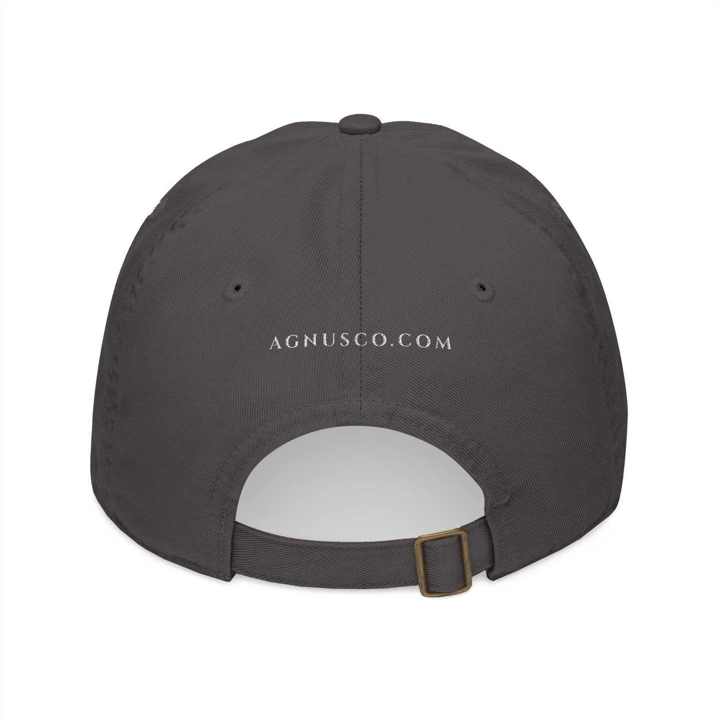 Agnus Co. In Nomine Patris grey cap — back view showing adjustable strap